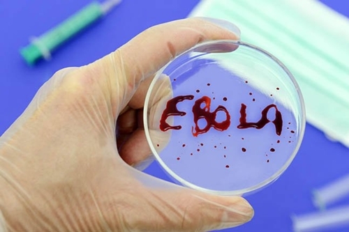 Virus sốt Ebola đã lây lan đến Châu Á