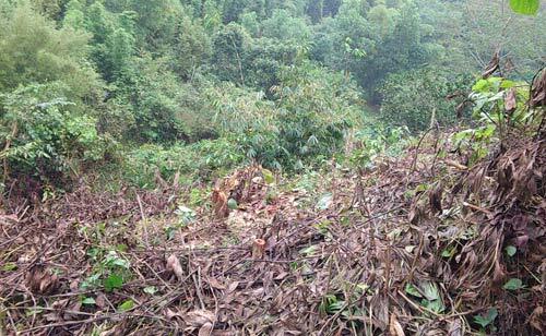 Đất đai đứng đầu danh sách tham nhũng