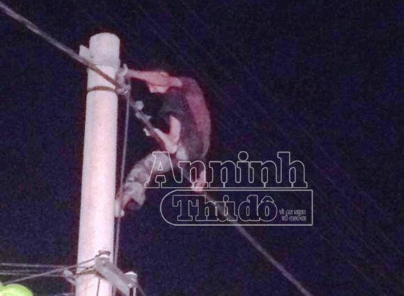 Ngáo đá, nam thanh niên leo cột điện la hét