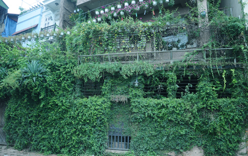 Kỳ thú “Ngôi nhà chậu hoa” triệu đô ở Hồ Tây