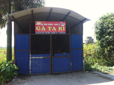 Thiếu phụ buôn gà lăng nhăng tình ái bị giết lúc rạng sáng