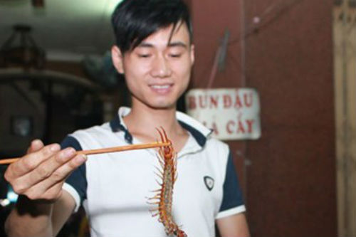 Kiếm tiền triệu mỗi tối nhờ quán nhậu... côn trùng