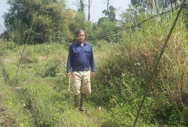 Hiểm họa khôn lường từ những đường dây điện mất an toàn