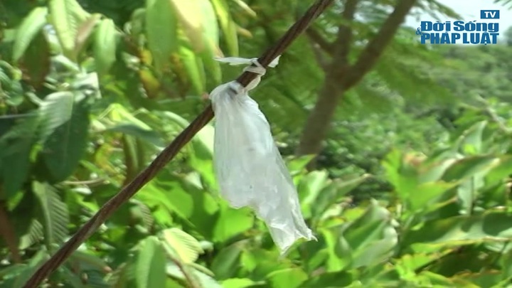 Bạc Liêu: Vướng cáp neo cột điện, một người thiệt mạng