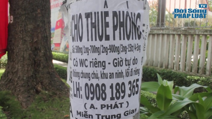 Các chiêu trò của