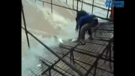 Clip: Bắt cá độc nhất vô nhị tại Việt Nam