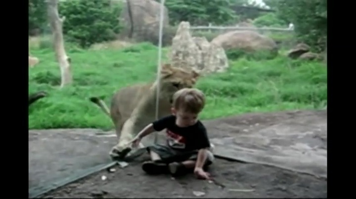 Clip: Chết cười với hình ảnh bé đi chơi vườn thú