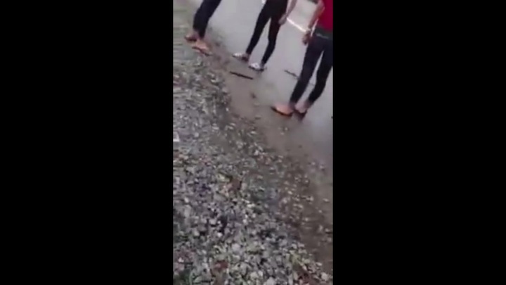 Clip: Nữ sinh bị đánh hội đồng dã man 