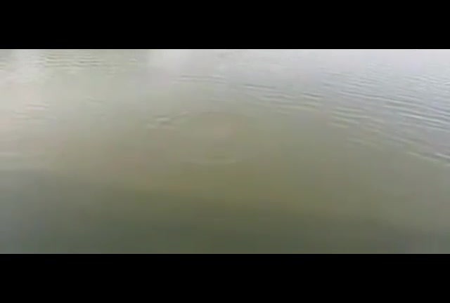 Clip: Tuyệt kỹ câu cá bằng chai nhựa