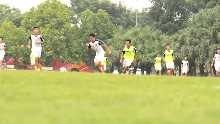 Cổ động viên mạo hiểm trèo cây xem U19 Việt Nam tập luyện