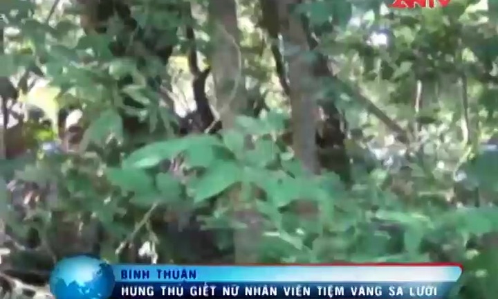 Khởi tố kẻ giết nữ nhân viên tiệm vàng ở Bình Thuận