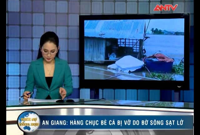 Bè cá vỡ, dân trắng tay chỉ biết kêu trời