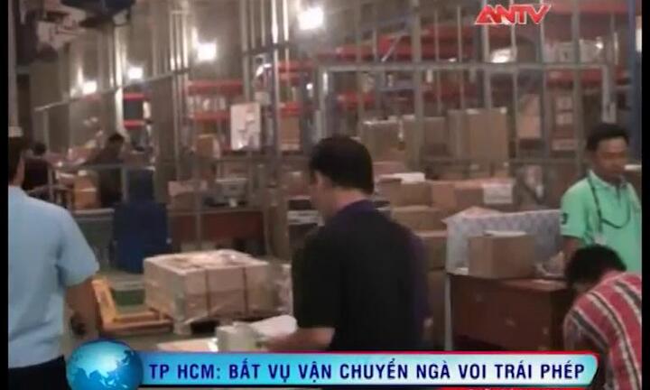 Phát hiện lô ngà voi Châu Phi nhập khẩu trái phép vào VN