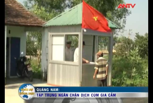 Quảng Nam: Ngăn chặn cúm A/H5N6 lây lan trên diện rộng