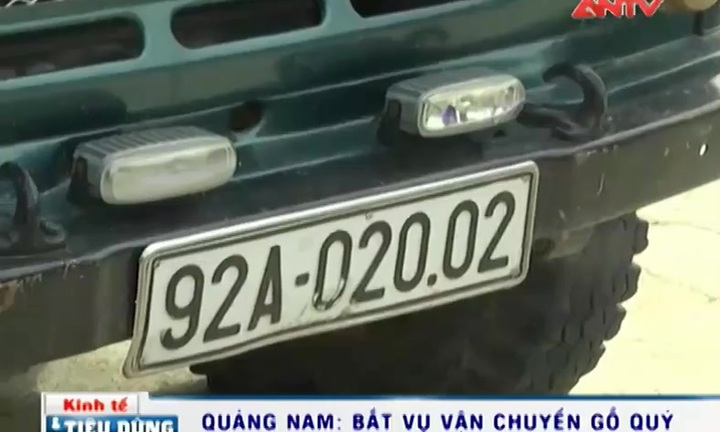 Vận chuyển trái phép gỗ quý đang bị tận diệt