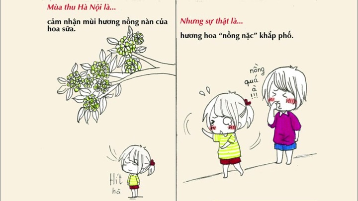 Clip: Những hình ảnh ngộ nghĩnh về sự thật mùa thu Hà Nội