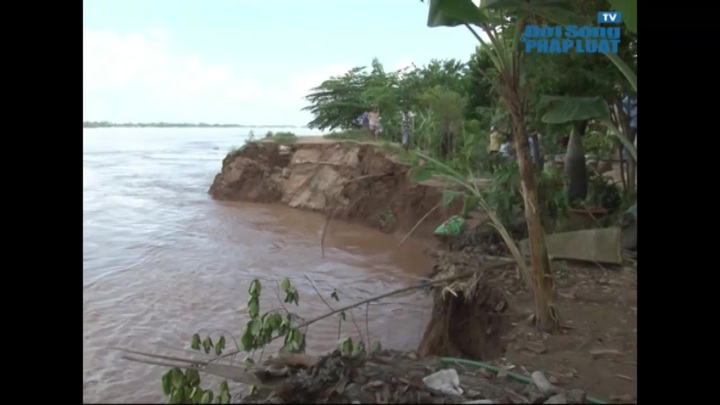 Đồng Tháp: Sạt lở nghiêm trọng, dân di dời khẩn cấp