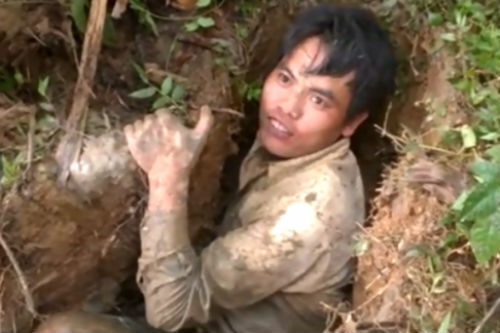 Hy hữu: Trai làng bắt cá trê trên cạn