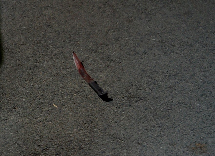 Truy tìm hung thủ sát hại dã man một phụ nữ ở TP HCM