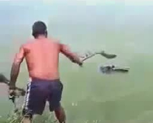 Video: Vớt bé sơ sinh bị thả trôi sông, lương tâm người mẹ ở đâu?