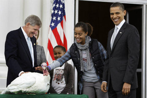 Video: Tổng thống Mỹ Barack Obama ân xá cho ... gà tây