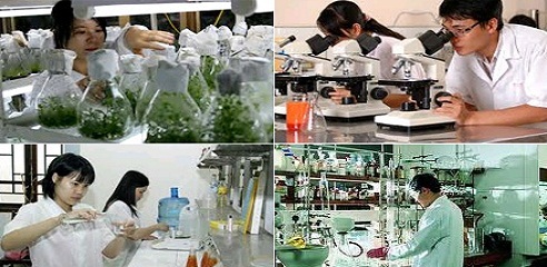 Chuyển đơn vị sự nghiệp công lập thành DN cổ phần?