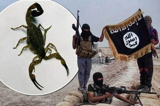 IS đánh bom bọ cạp sống gieo rắc kinh hoàng tại Iraq  