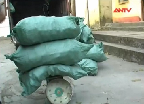 Video: Bắt giữ 484kg pháo nổ trị giá trên 100 triệu đồng