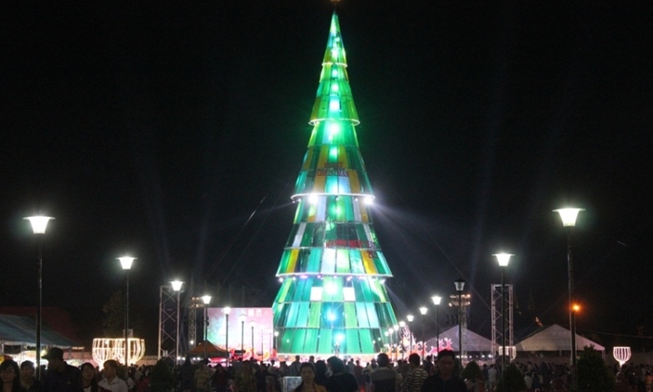 Video: Cây thông Noel khổng lồ cao 36 mét giá hơn 5 tỷ đồng