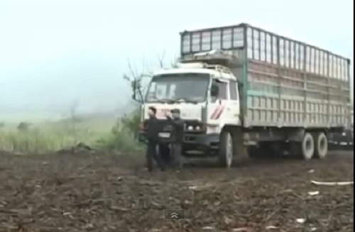 Video: Hành trình phá án - Bộ tứ sa lưới P2/3