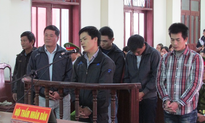 Gây 9 vụ trộm gỗ quý, nhóm đối tượng lãnh 56 năm tù