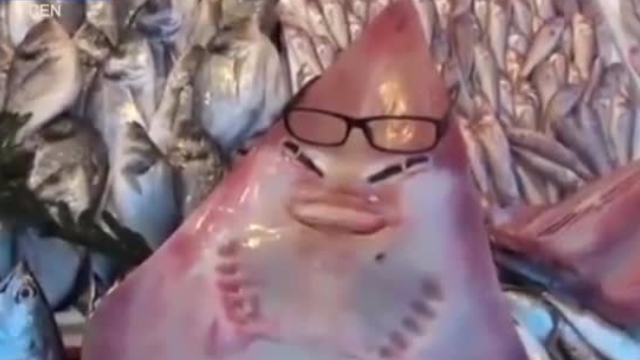 Cộng đồng mạng hoang mang với cá mập 'mặt người' kỳ dị