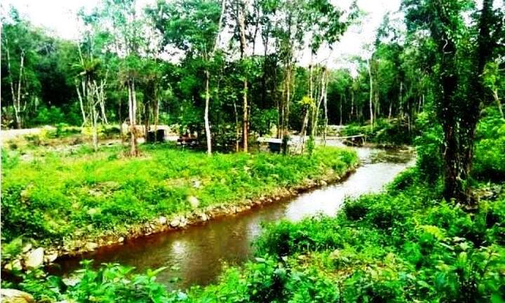 Đình chỉ dự án của Phó công an, lộ thêm 2 quan cùng nhà vợ
