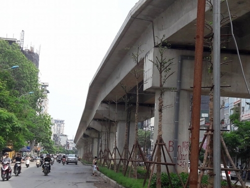 Hà Nội: Trồng cây dưới gầm đường sắt để… làm gì?