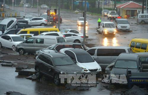 Bão Chaba hoành hành tại Hàn Quốc và Nhật Bản