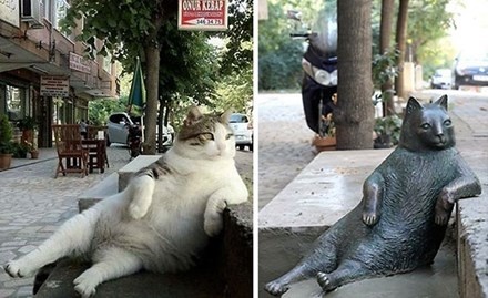 Chú mèo mập ú từng gây sốt mạng được tạc tượng sau khi qua đời