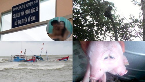 Tin tức thời sự mới nhất ngày 10/10