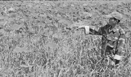 Phớt lờ “tối hậu thư”, doanh nghiệp ngang nhiên xả thải “đầu độc” người dân 