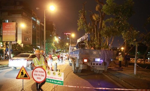 Trắng đêm di dời cây trên đường Kim Mã trước khi bão số 7 đổ bộ