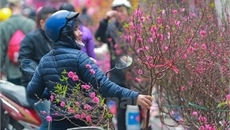 Đề xuất nghỉ Tết Đinh Dậu chỉ 7 ngày