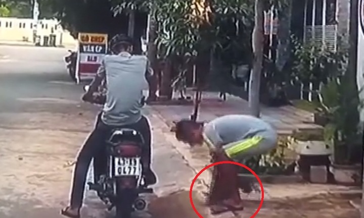 Liều lĩnh hai cẩu tặc trộm chó bằng tay không giữa ban ngày