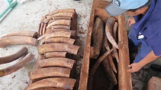 Tin tức pháp luật hôm nay ngày 22/10 – ĐSPL Online