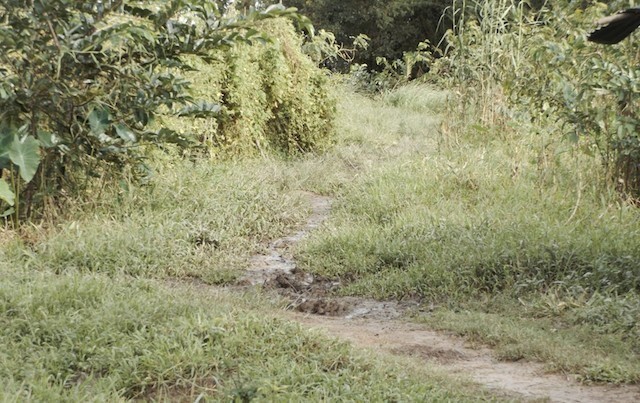 Khởi tố gã trai hiếp dâm thiếu nữ 14 tuổi để “quỵt tiền”