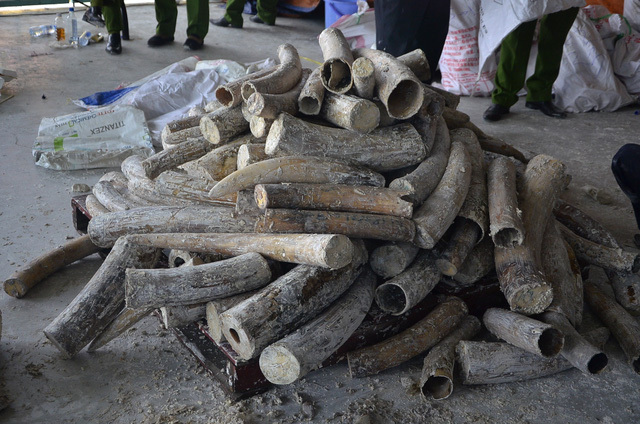 Tin tức pháp luật hôm nay ngày 26/10 – ĐSPL Online