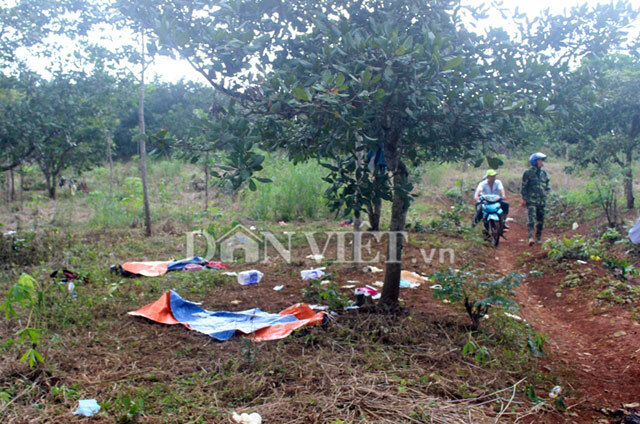 Chùm ảnh bị can vụ bắn người ở Đăk Nông ra đầu thú