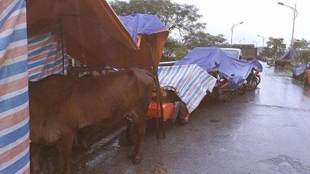 Lũ dâng trở lại, người dân lập lán sơ tán lên đường Hồ Chí Minh