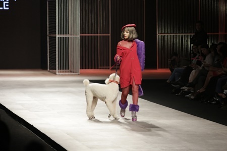 Chi Pu dắt cún cưng, làm tiểu thư sao chảnh trên sàn catwalk