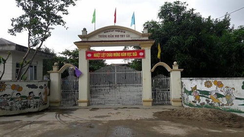 Bức xúc việc gần trăm cây xanh ở trường học bị chặt hạ, định giá tuỳ tiện