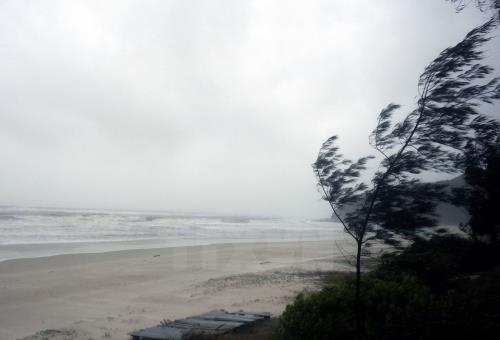 Dự báo thời tiết ngày mai 11/11: Cảnh báo gió mạnh