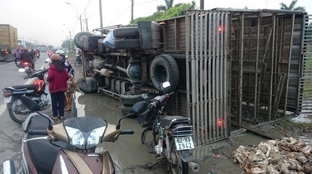 Xe chở vịt bị lật, người dân mua 800 con vịt chết ủng hộ khổ chủ